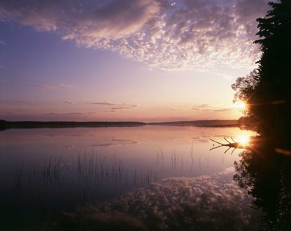 Picture of CANADA, MANITOBA, DUCK MOUNTAIN PROVINCIAL PARK