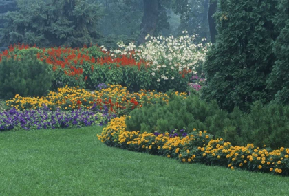 Picture of CANADA, MANITOBA, WINNIPEG GARDEN IN LIGHT FOG