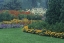 Picture of CANADA, MANITOBA, WINNIPEG GARDEN IN LIGHT FOG
