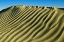 Picture of CANADA, GREAT SAND HILLS PATTERN IN SAND DUNES