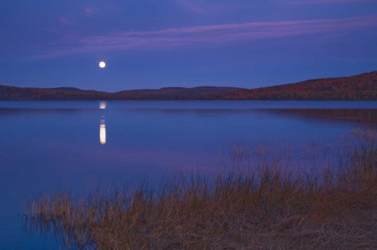 Picture of CANADA, ONTARIO MOONRISE ON LAKE OF TWO RIVERS