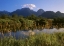 Picture of CANADA, PITT ADDINGTON WILDLIFE MANAGEMENT AREA