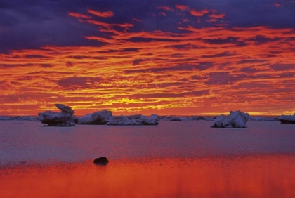 Picture of CANADA, HUDSON BAY ICE FLOES ON WATER AT SUNSET