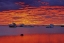 Picture of CANADA, HUDSON BAY ICE FLOES ON WATER AT SUNSET