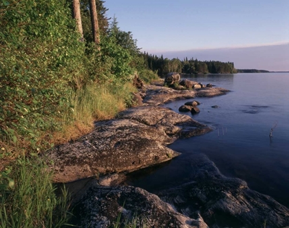 Picture of CANADA, MANITOBA, SASAGIU RAPIDS PROVINCIAL PARK