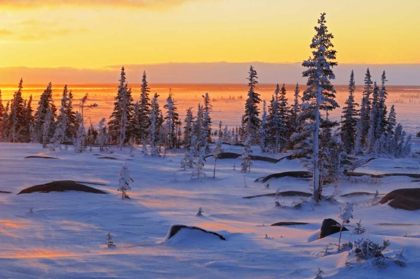 Picture of CANADA, CHURCHILL, HUDSON BAY SUNRISE ON TUNDRA