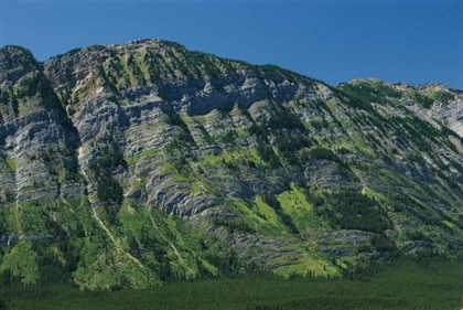 Picture of CANADA, KANANASKIS LIMESTONE LAYERS ON MOUNTAIN