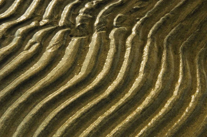 Picture of CANADA, ONTARIO RIPPLES IN SAND OF GEORGIAN BAY