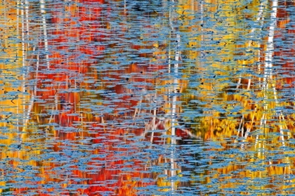 Picture of CANADA, ONTARIO, MINDEN AUTUMN REFLECTS IN POND