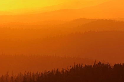 Picture of CANADA, BC, MOUNTAINS OF RAIN FOREST AT SUNSET