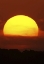 Picture of FL, VIERRA WETLANDS GIANT SUN AT SUNSET