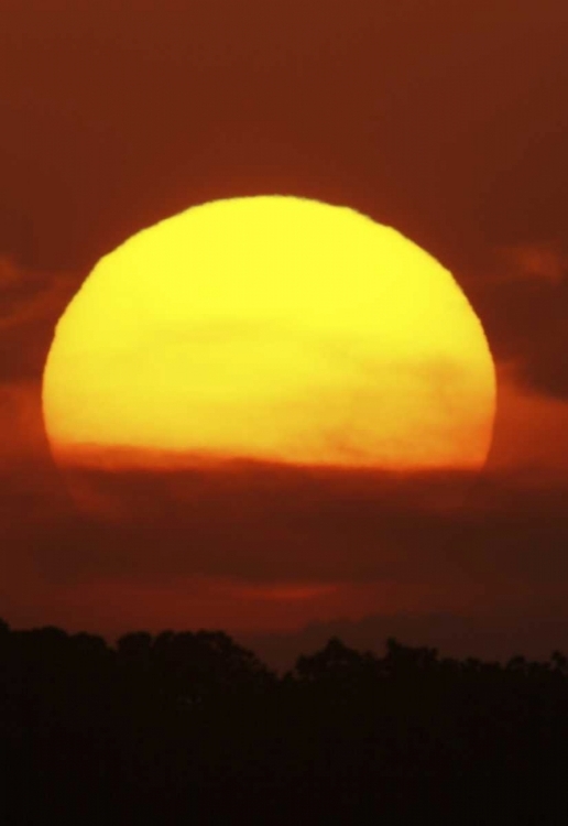 Picture of FL, VIERRA WETLANDS GIANT SUN AT SUNSET