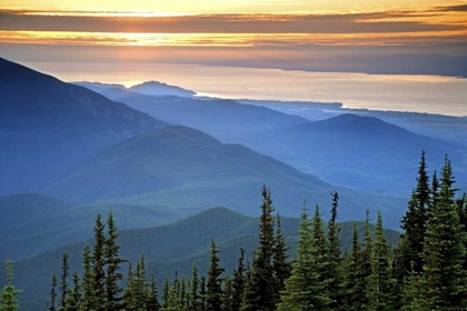 Picture of WA, OLYMPIC NP SUNSET VIEW FROM DEER PARK