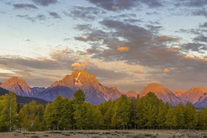 Picture of WY MOUNT MORAN AND TETON RANGE AT SUNRISE