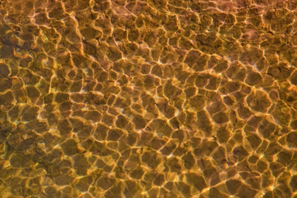 Picture of UT, GLEN CANYON SUNLIGHT IN SHALLOW WATER