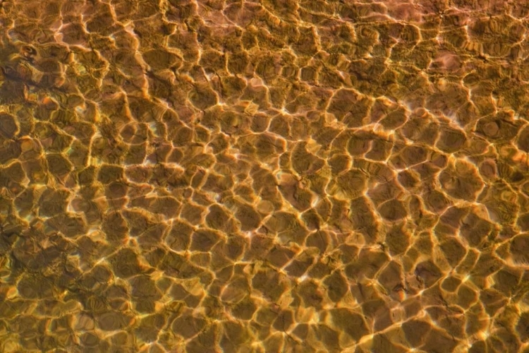 Picture of UT, GLEN CANYON SUNLIGHT IN SHALLOW WATER