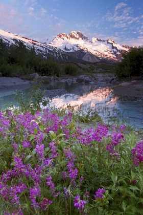 Picture of AK, ALSEK-TATSHENSHINI MOUNTAIN LANDSCAPE