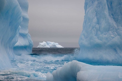 Picture of SOUTH GEORGIA ISLAND BLUE-TINGED ICEBERGS