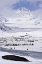Picture of SOUTH GEORGIA ISL, SEAL AND PENGUIN COLONY