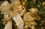 Picture of CLOSE-UP OF DECORATIONS ON A CHRISTMAS TREE