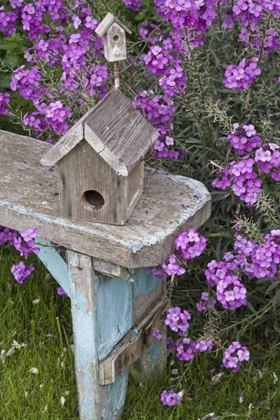 Picture of BIRD HOUSES ON BENCH NEXT TO GARDEN FLOWERS