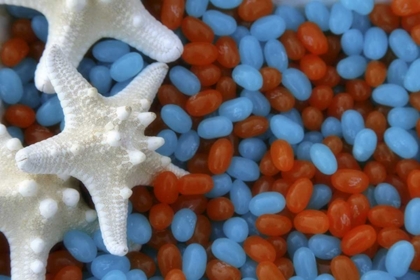 Picture of RED AND BLUE JELLY BEANS AND WHITE STARFISH