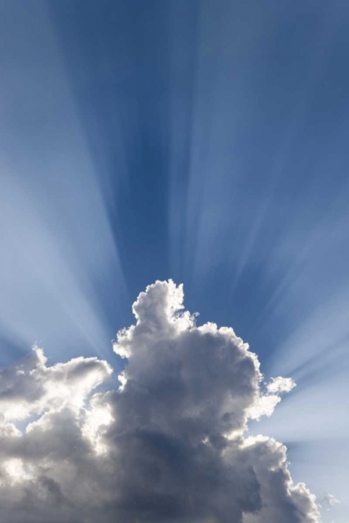 Picture of CREPUSCULAR OR GODS RAYS STREAK PAST CLOUD