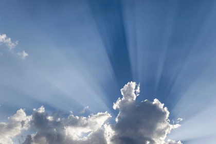 Picture of CREPUSCULAR OR GODS RAYS STREAK PAST CLOUD