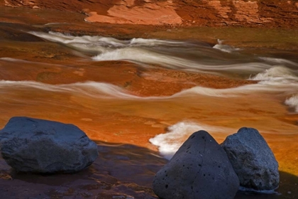 Picture of ARIZONA, SEDONA OAK CREEK IN SLIDE ROCK SP