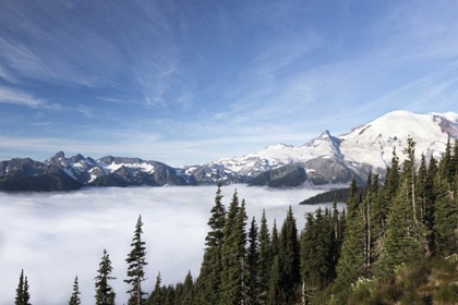 Picture of WASHINGTON, MOUNT RAINIER NP SUNRISE POINT