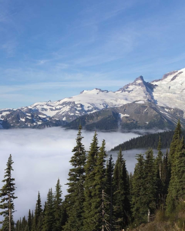 Picture of WASHINGTON, MOUNT RAINIER NP SUNRISE POINT