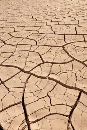 Picture of ARIZONA, GILA BEND DRIED RIVER- BOTTOM MUD