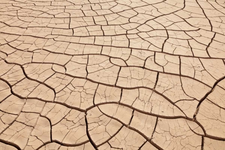 Picture of ARIZONA, GILA BEND DRIED RIVER- BOTTOM MUD