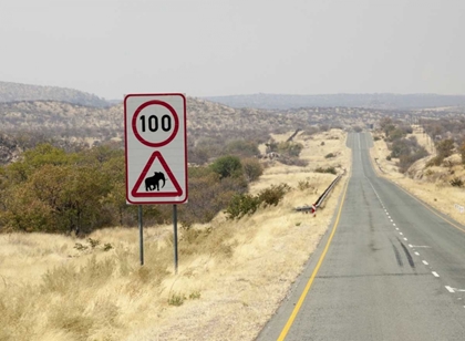 Picture of NAMIBIA, ETOSHA NP SPEED LIMIT AND CAUTION SIGN