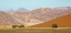 Picture of NAMIBIA, NAMIB-NAUKLUFT SAND DUNES AND MOUNTAIN