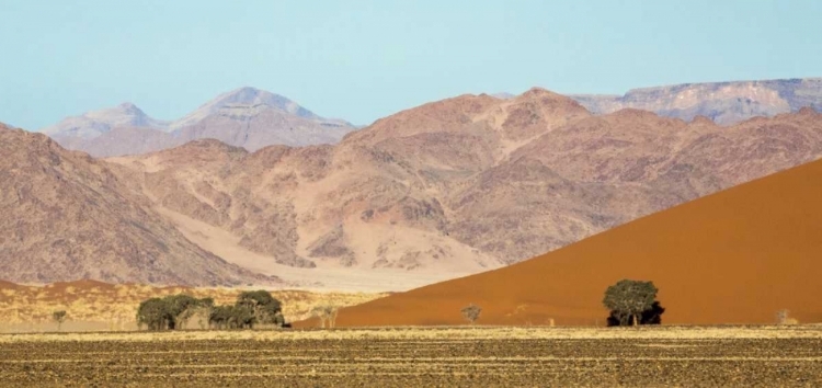 Picture of NAMIBIA, NAMIB-NAUKLUFT SAND DUNES AND MOUNTAIN