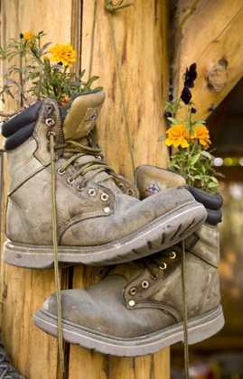 Picture of AK, TALKEETNA HIKING BOOTS PLANTED WITH FLOWERS