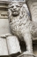 Picture of ITALY, VENICE DETAIL OF STATUE OF A WINGED LION