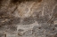 Picture of AFRICA, BOTSWANA, TSODILO HILLS BUSHMAN ROCK ART