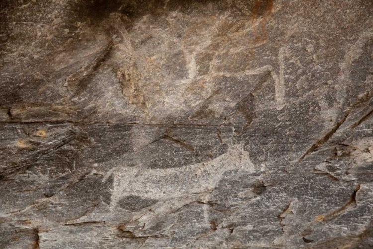 Picture of AFRICA, BOTSWANA, TSODILO HILLS BUSHMAN ROCK ART