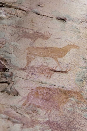 Picture of AFRICA, BOTSWANA, TSODILO HILLS BUSHMAN ROCK ART