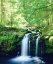 Picture of USA, OREGON, WHITEHORSE WATERFALL IN OREGON