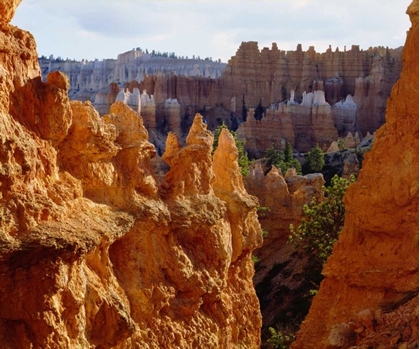 Picture of UTAH, BRYCE CANYON NP SANDSTONE FORMATIONS