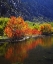 Picture of CALIFORNIA, AUTUMN IN THE SIERRA NEVADA MTS