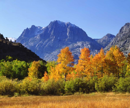 Picture of CALIFORNIA, AUTUMN IN THE SIERRA NEVADA MTS