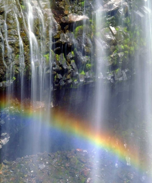 Picture of WA, MOUNT RAINER NP RAINBOW AT A WATERFALL