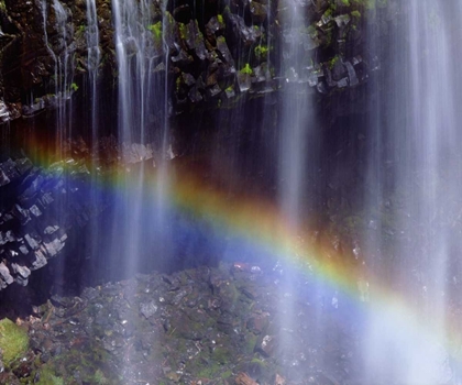 Picture of WA, MOUNT RAINER NP RAINBOW AT A WATERFALL