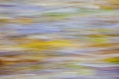 Picture of WA, SEABECK MOTION BLUR OF FALL LEAVES ON BEACH