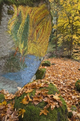 Picture of OR, LAKE CREEK PAINTED BOULDER AND FOREST TRAIL