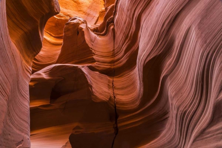 Picture of AZ, CANYON X FORMATION IN ERODED SANDSTONE ROCK